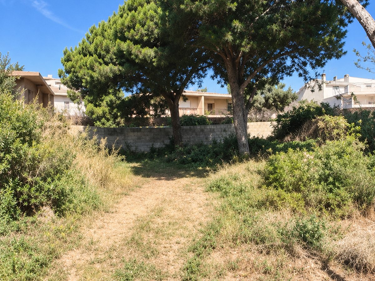 Terreno con pinos en Premià de Dalt