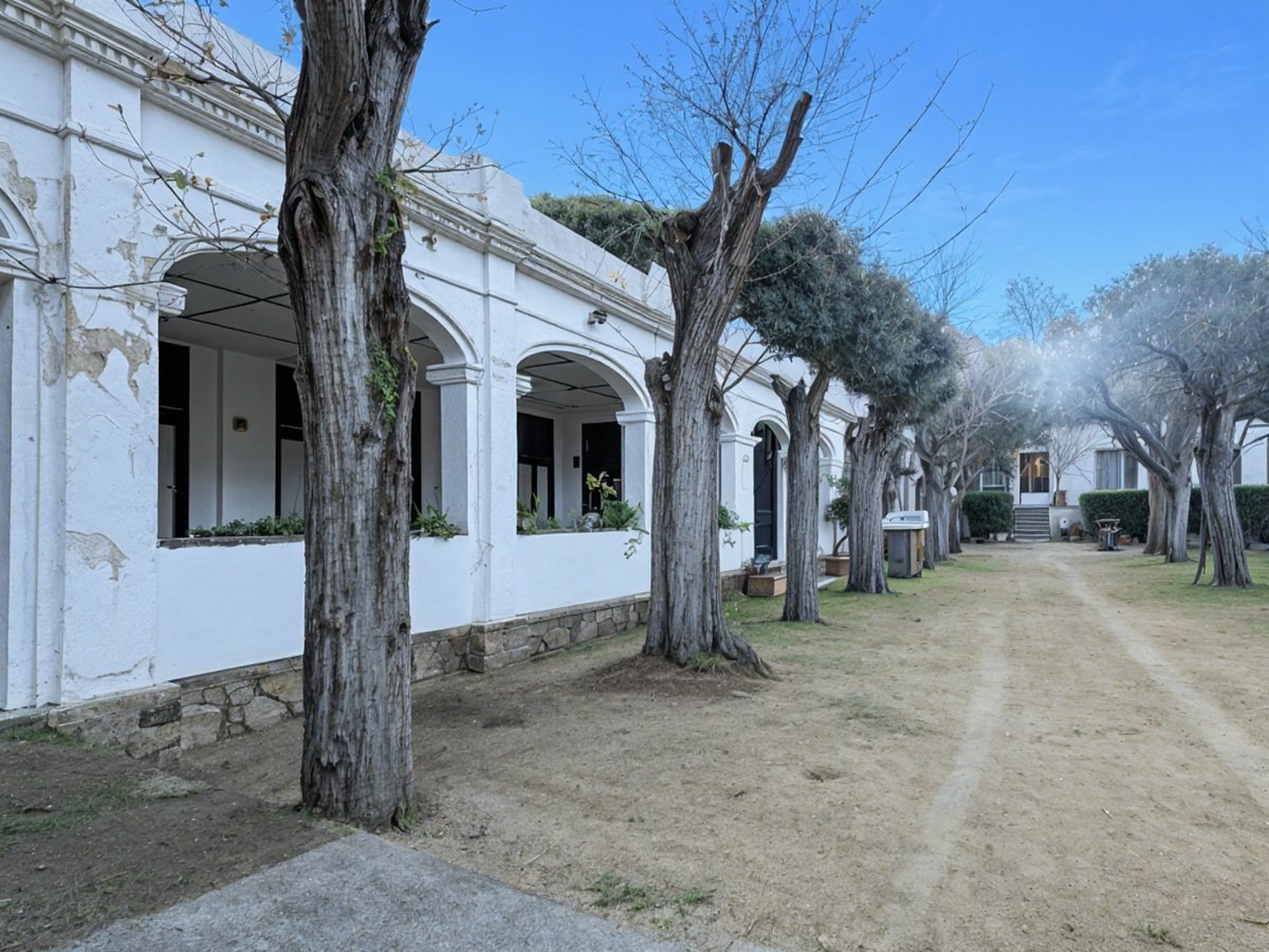 Finca con porche de arcos y olivos en Arenys de Munt